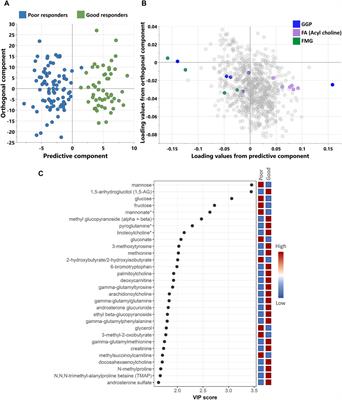 Pharmacometabolomics of sulfonylureas in patients with type 2 diabetes: a cross-sectional study